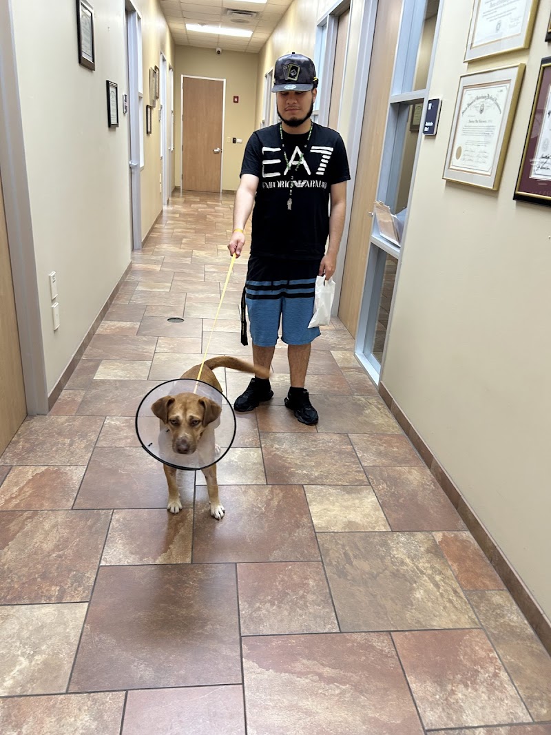 Westbury Animal Hospital