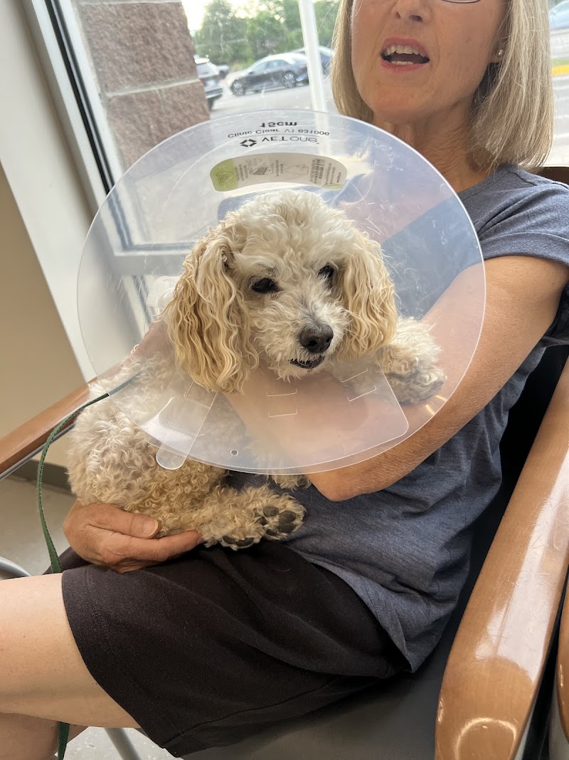 Colorado Animal Specialty & Emergency (CASE)