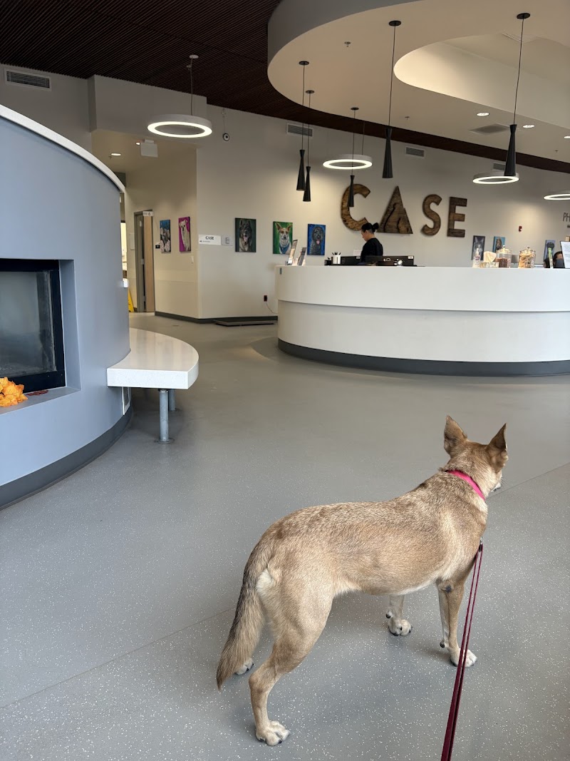 Colorado Animal Specialty & Emergency (CASE)