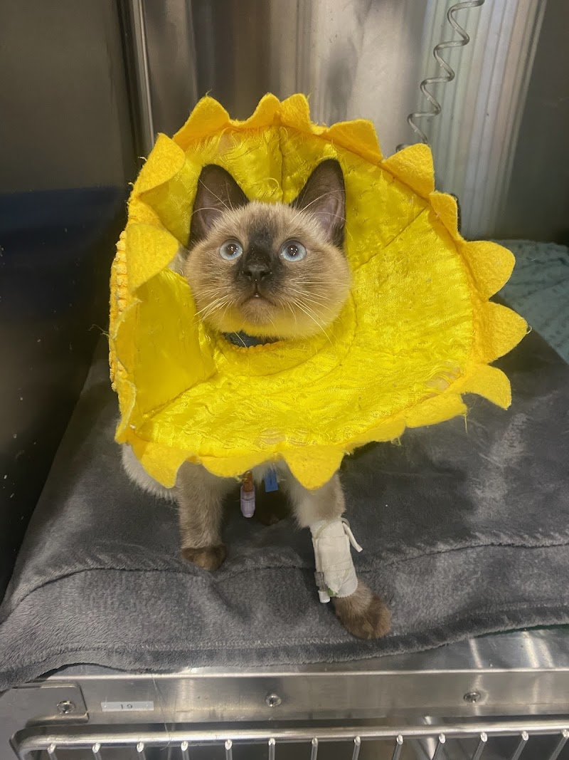 Colorado Animal Specialty & Emergency (CASE)