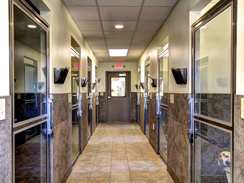 Brookstone Animal Hospital