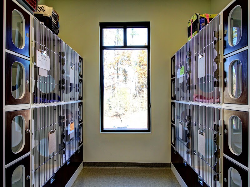 Brookstone Animal Hospital