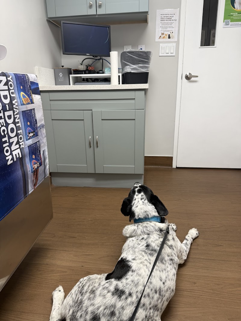 Kearny Mesa Veterinary Center