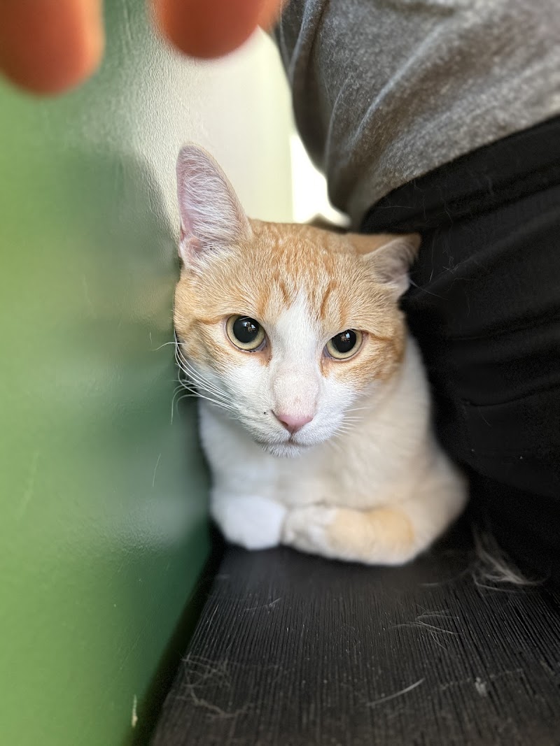 Hess Ridge Animal Hospital