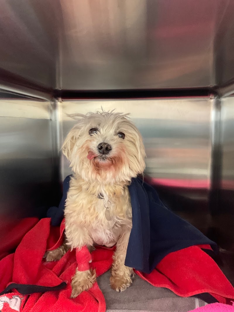 Hess Ridge Animal Hospital