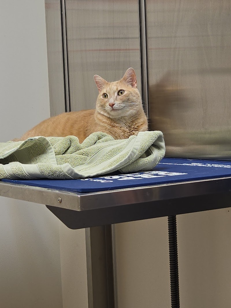 Loveland Regional Animal Hospital