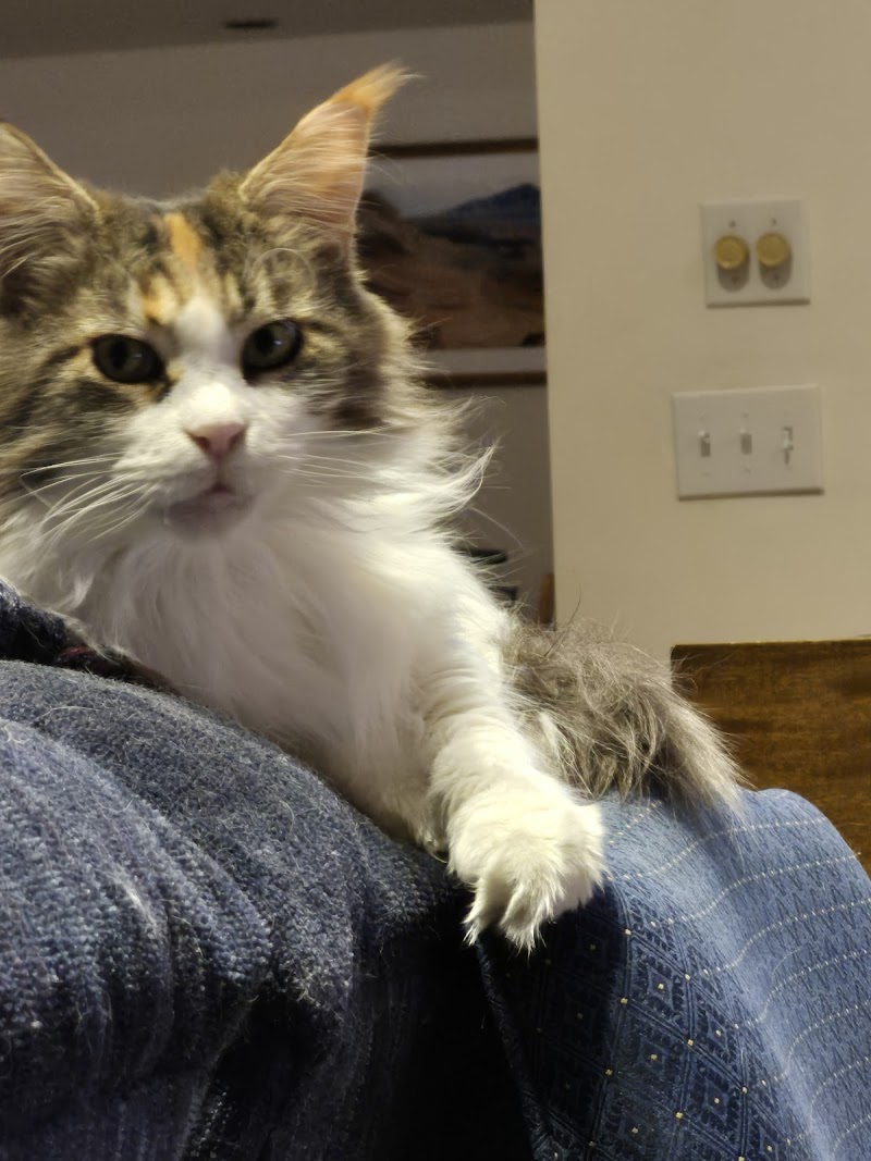 Loveland Regional Animal Hospital - Loveland