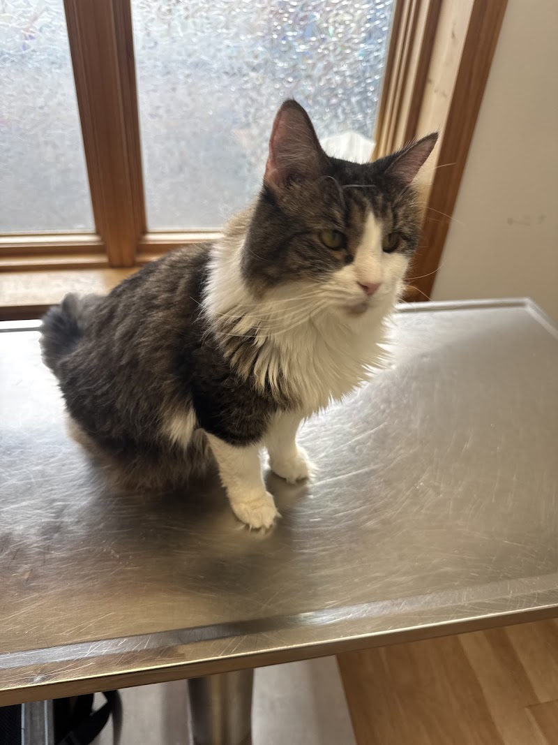 Loveland Regional Animal Hospital