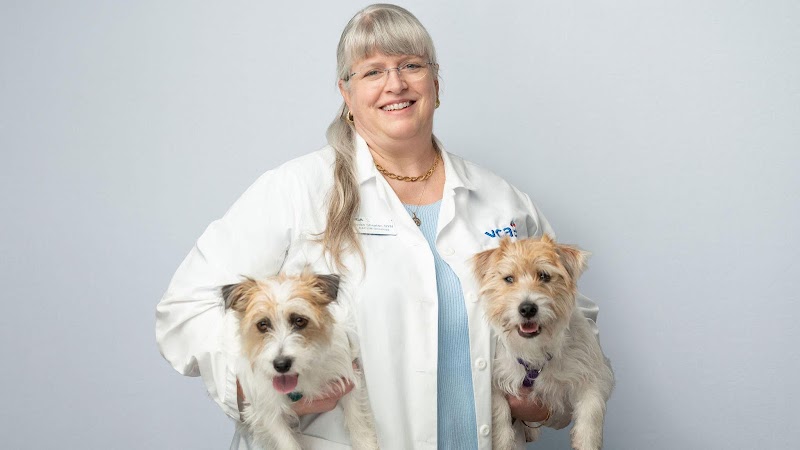 VCA SouthPaws Veterinary Specialists & Emergency Center - Fairfax