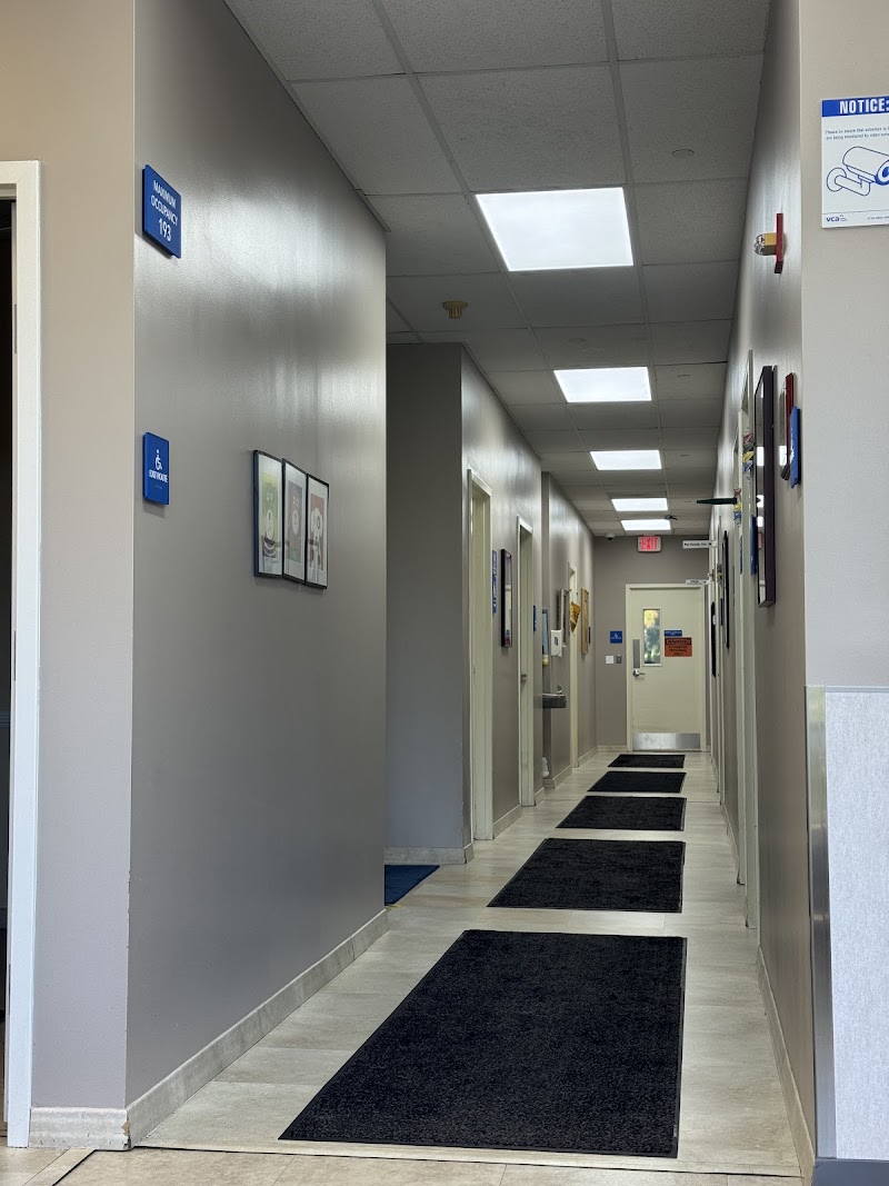 VCA SouthPaws Veterinary Specialists & Emergency Center