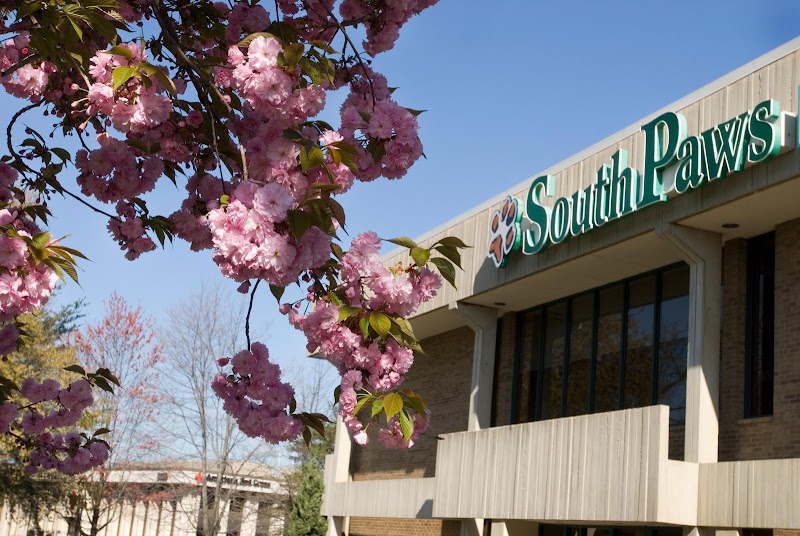 VCA SouthPaws Veterinary Specialists & Emergency Center