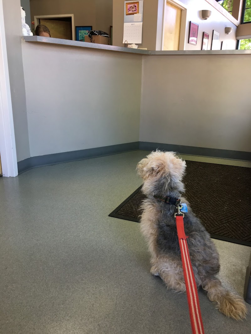 Kensington Veterinary Hospital