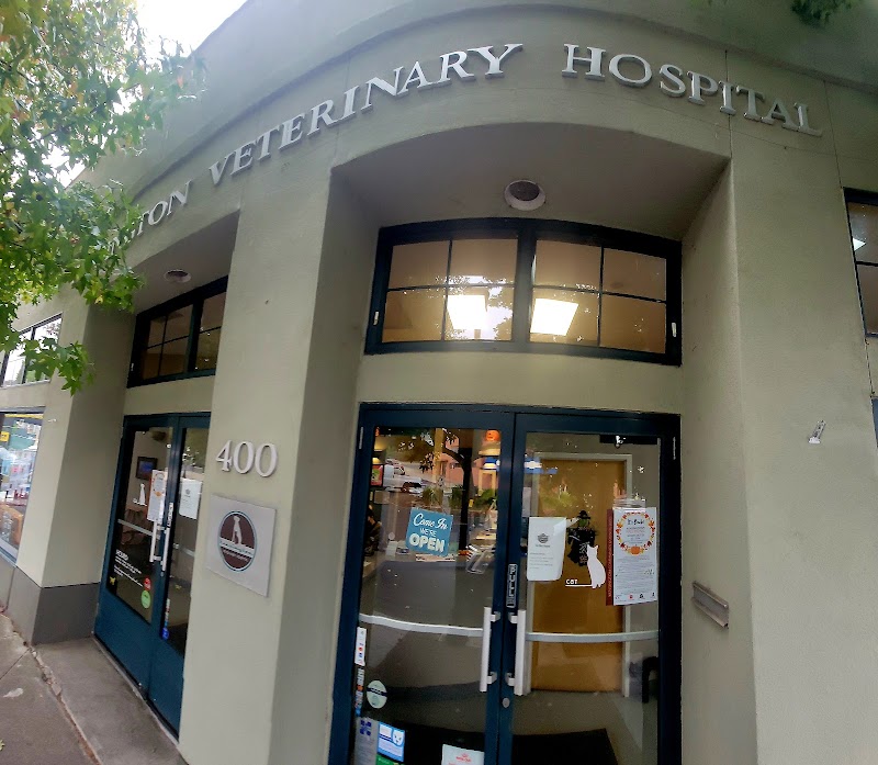 Kensington Veterinary Hospital