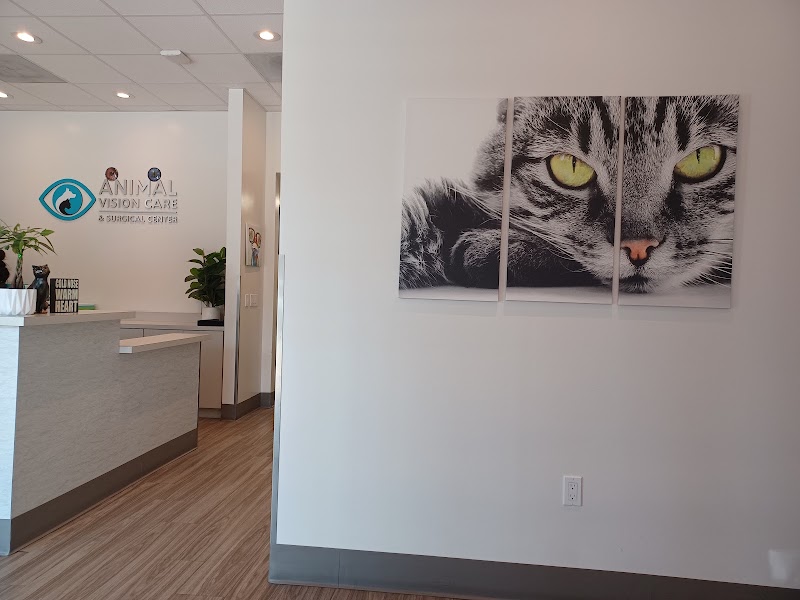 Animal Vision Care & Surgical Center