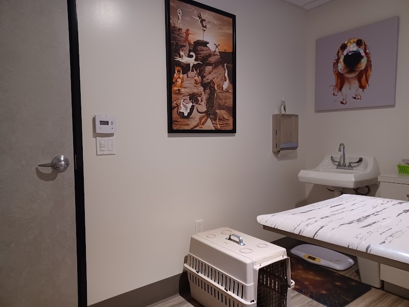 Animal Vision Care & Surgical Center
