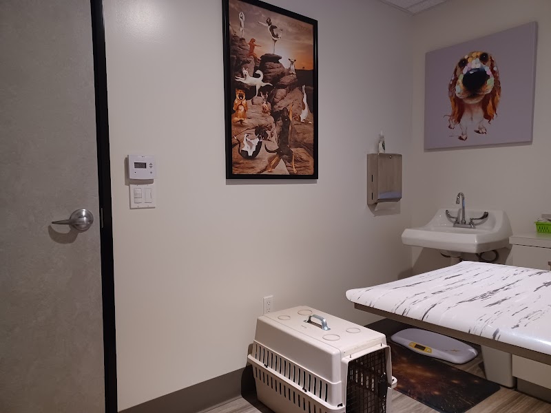 Animal Vision Care & Surgical Center