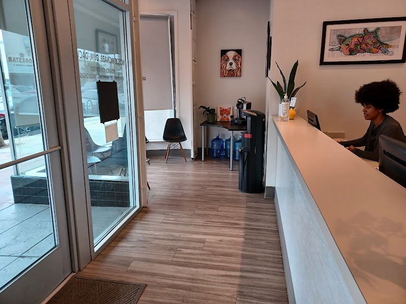 Animal Vision Care & Surgical Center