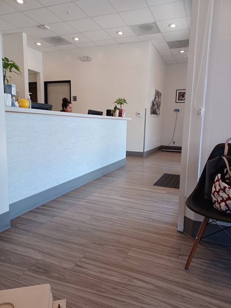 Animal Vision Care & Surgical Center