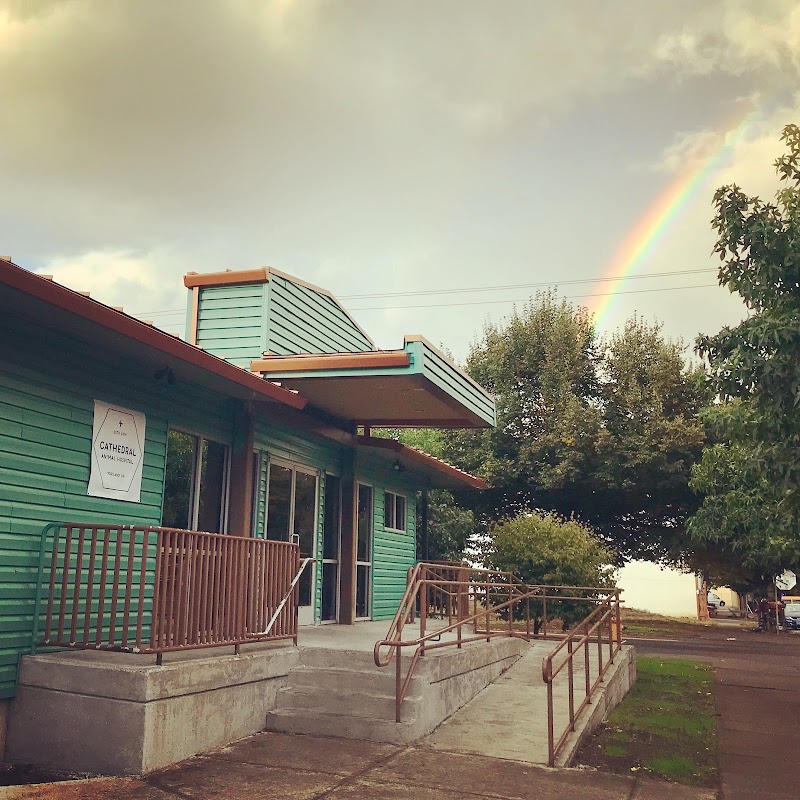 Cathedral Animal Hospital - Portland