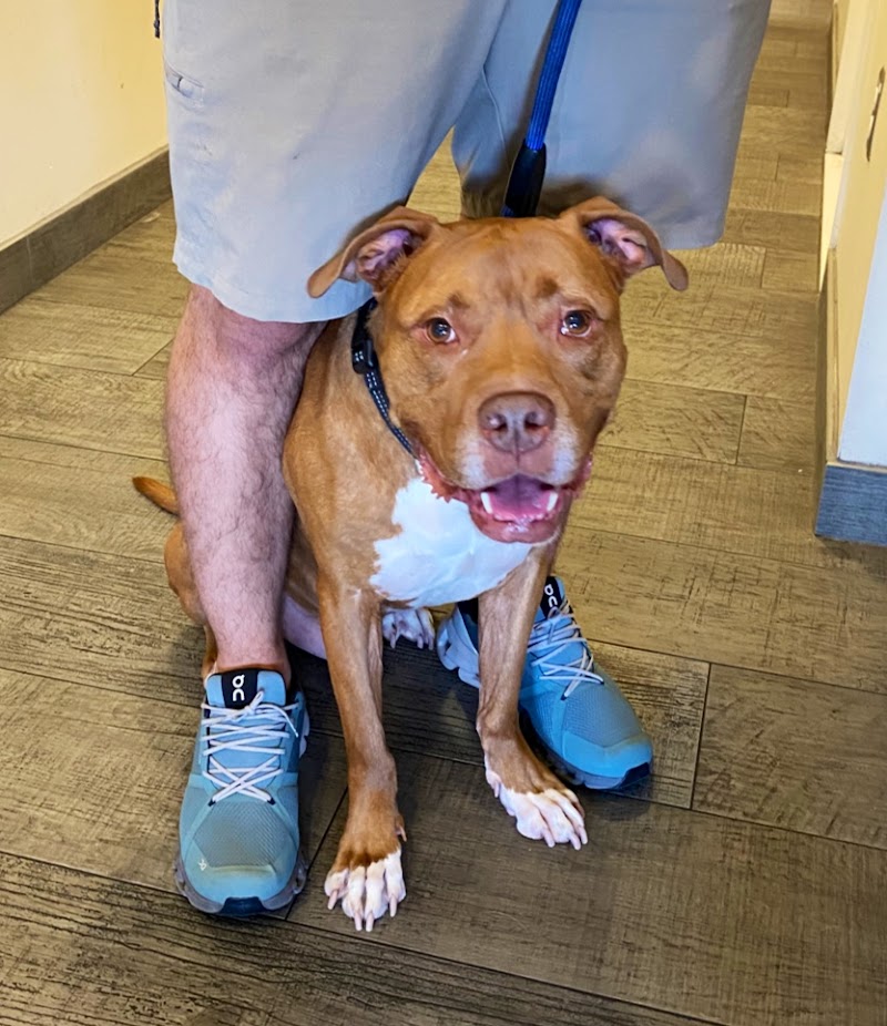 West Kendall Animal Hospital