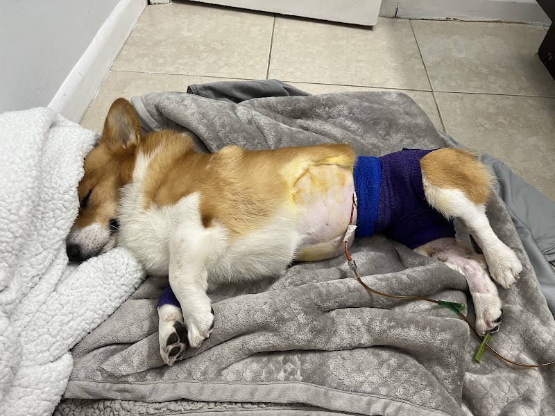 West Kendall Animal Hospital