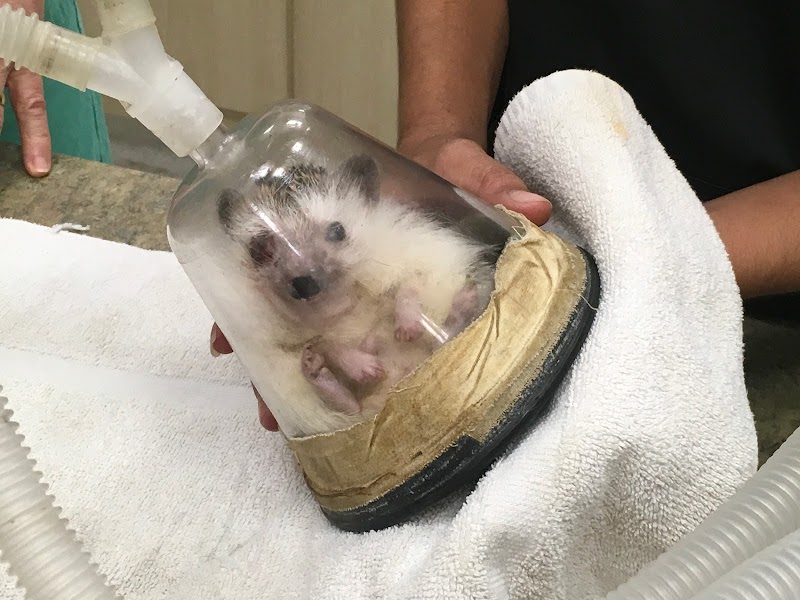 West Kendall Animal Hospital