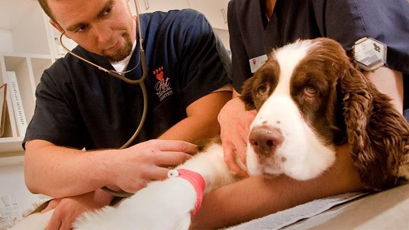 VCA Chatoak Animal Hospital