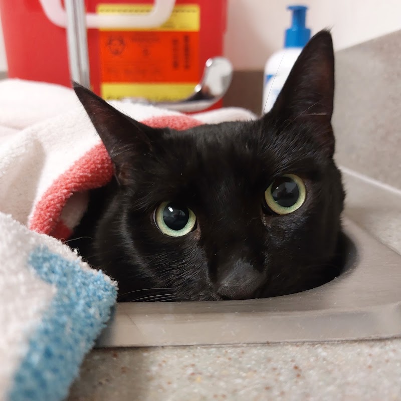VCA Chatoak Animal Hospital