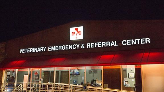 Animal Emergency Clinic NE