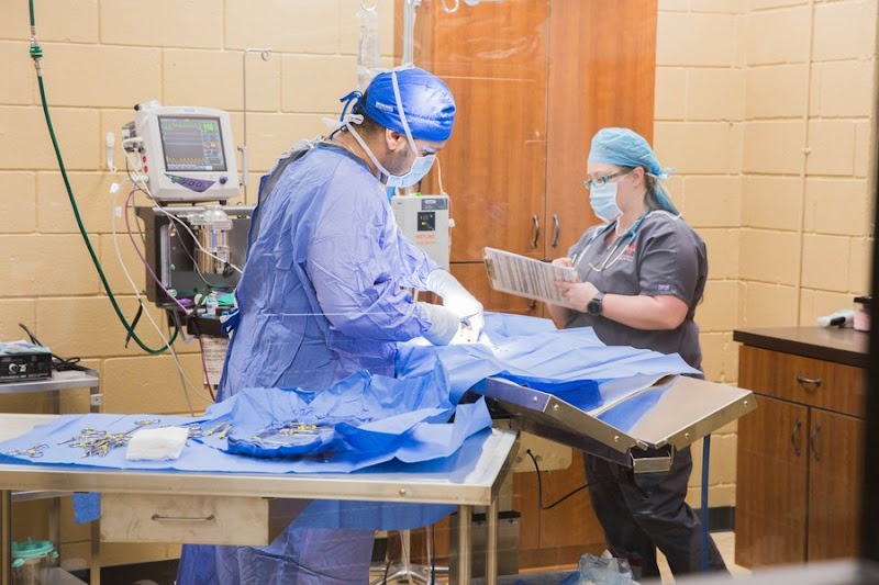 Animal Emergency Clinic NE
