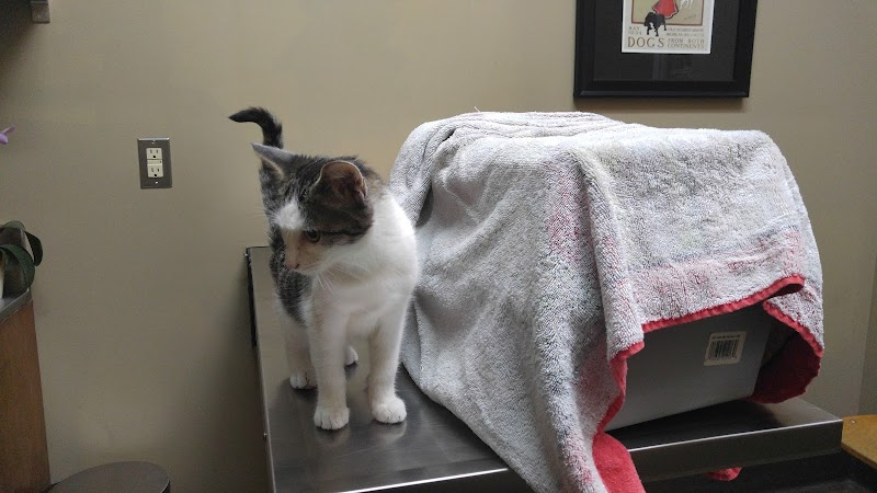 Veterinary Care Center