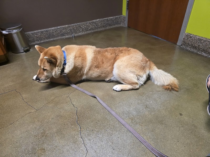 Veterinary Care Center