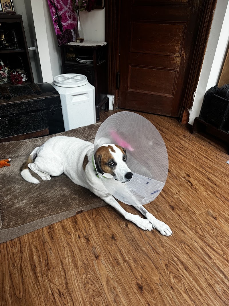Red Bank Veterinary Hospital - Tinton Falls