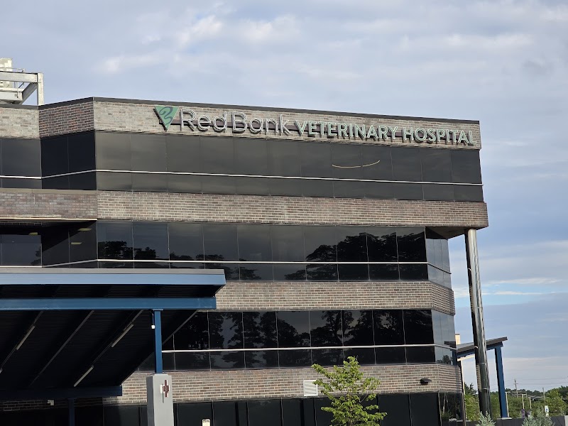 Red Bank Veterinary Hospital - Tinton Falls