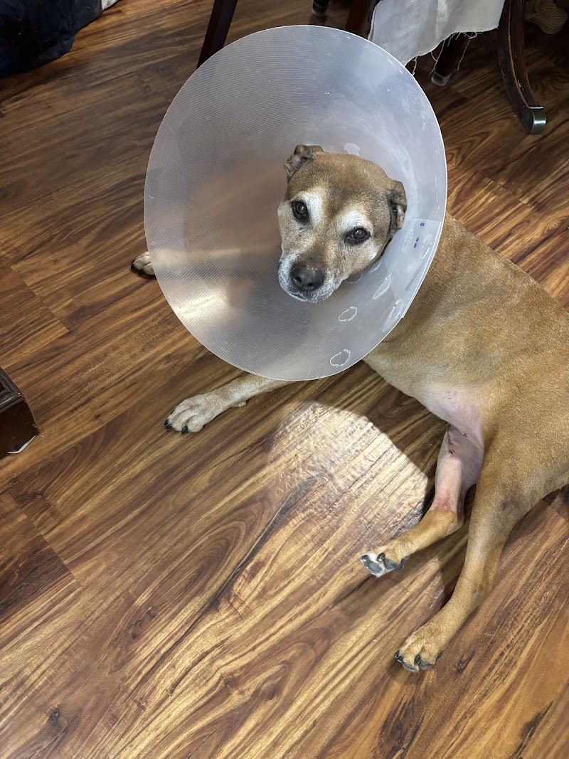 Red Bank Veterinary Hospital - Tinton Falls