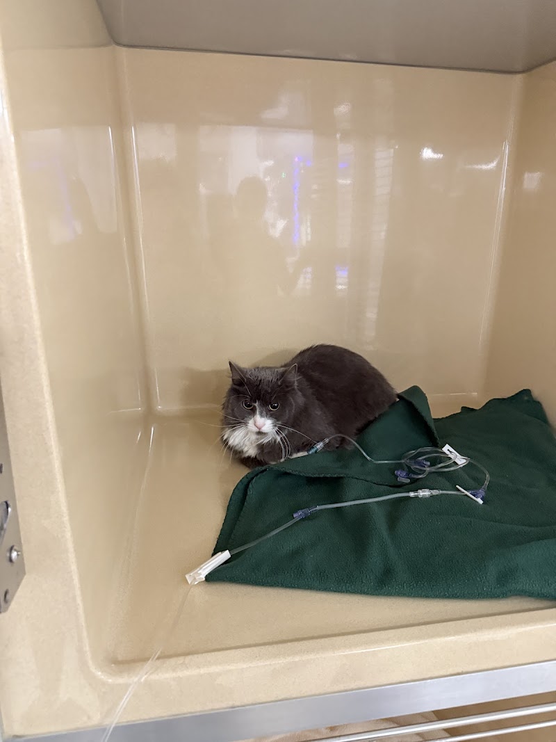 Red Bank Veterinary Hospital - Tinton Falls