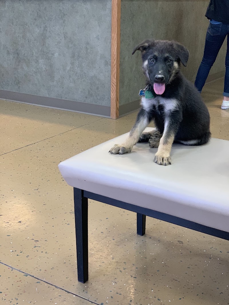 Long Drive Dog & Cat Hospital