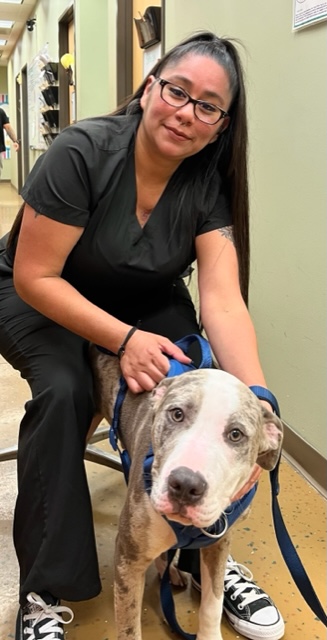 Long Drive Dog & Cat Hospital
