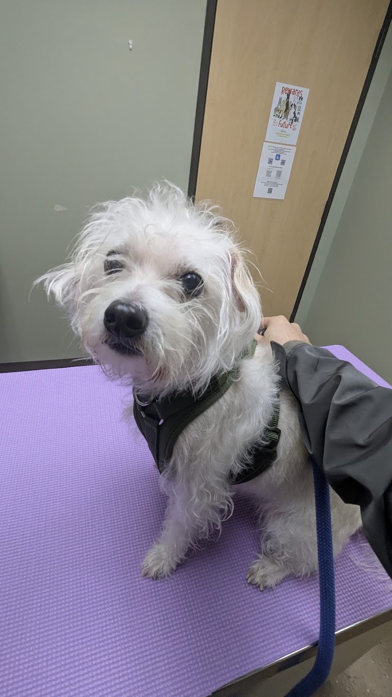 Long Drive Dog & Cat Hospital