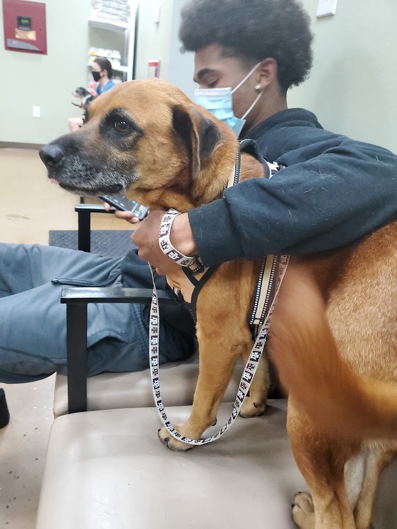 Long Drive Dog & Cat Hospital