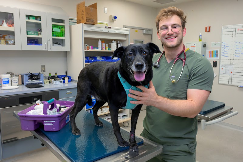 Washington State University Veterinary Teaching Hospital - 24hr Emergency