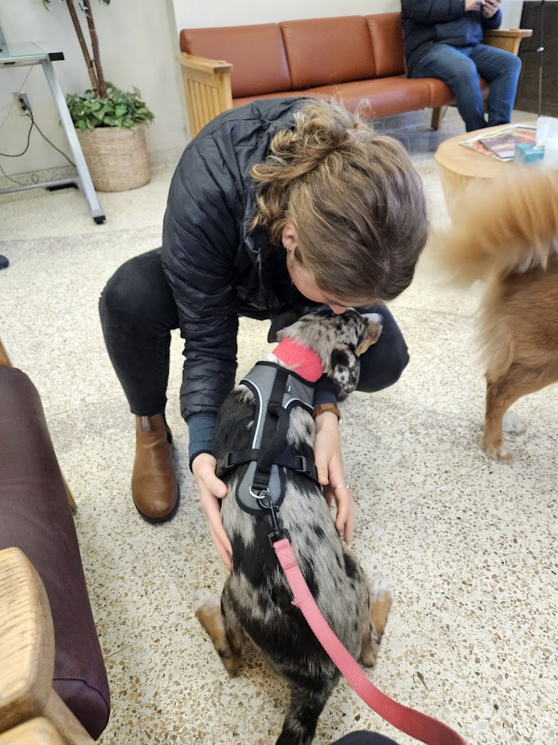 Washington State University Veterinary Teaching Hospital - 24hr Emergency