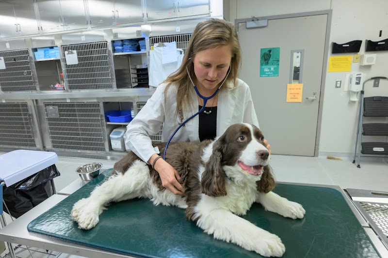 Washington State University Veterinary Teaching Hospital - 24hr Emergency