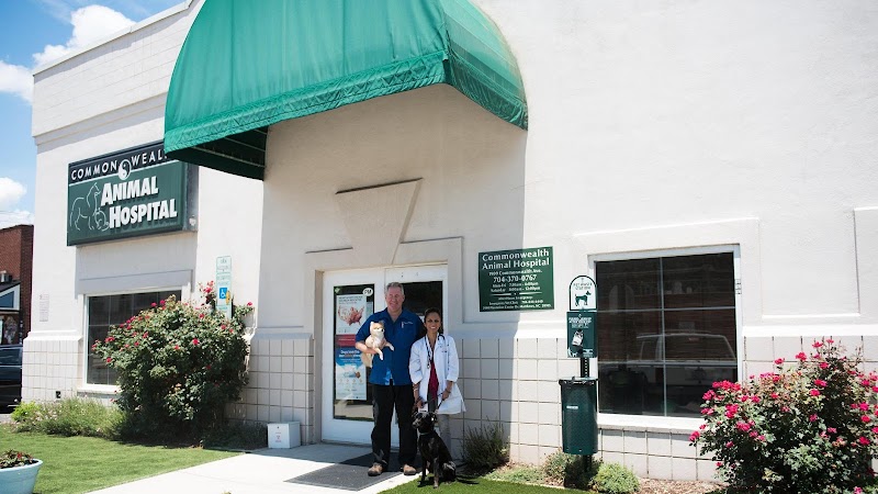 Commonwealth Animal Hospital - Charlotte