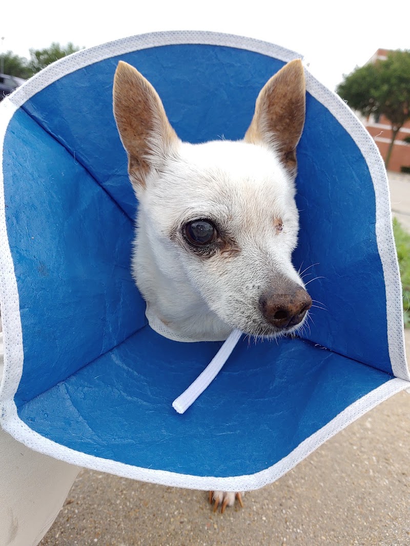 Veterinary Referral Center