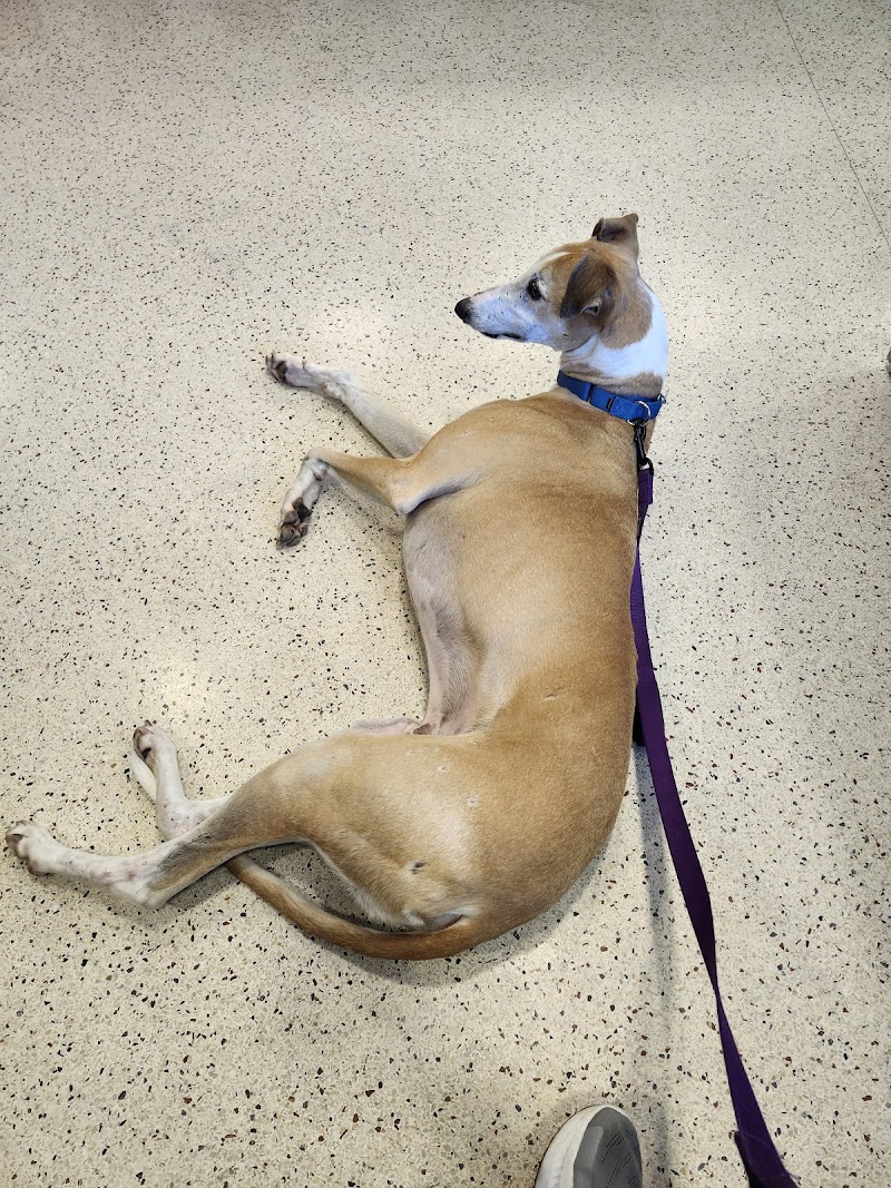 Veterinary Referral Center