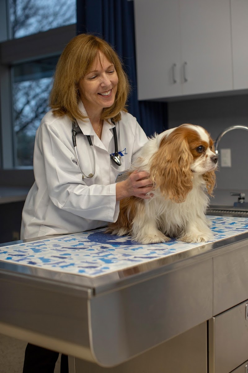 VCA Dallas Animal Specialty Hospital