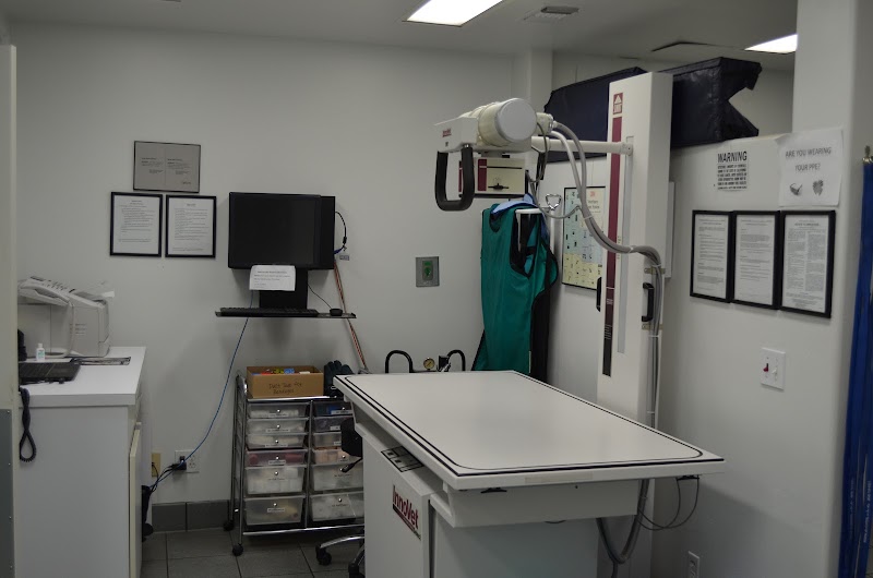 Animal & Bird Hospital of Del Mar
