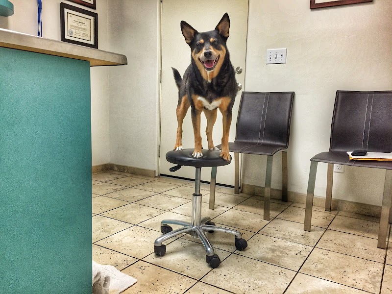 Animal & Bird Hospital of Del Mar