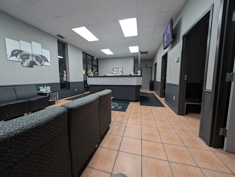 Allied Veterinary Emergency & Referral